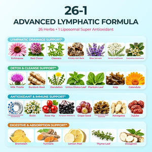 Lymphatic Drainage Drops, 26-in-1 Lymph System Support, Alcohol-Free, Vegan